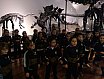 dinosaurios