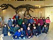 dinosaurios