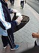 BarrioLimpio