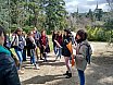 Erasmus+